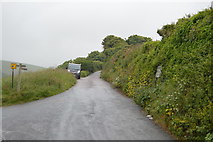 SX4950 : Road from Bovisand Park by N Chadwick