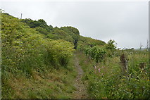 SX4950 : South West Coast Path out of Bovisand Bay by N Chadwick