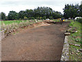 SJ9422 : Re-excavated canal basin near Baswich, Stafford by Roger  D Kidd