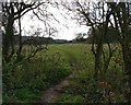 Path across the Aylestone Meadows