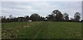 Approaching Pickeridge Farm