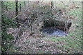 Overgrown footbridge, Nant Ffrwd-oer, Plas-y-coed