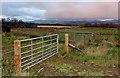 New gate at the end of Old Gallows Road