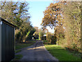 Track towards Fen Farm