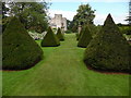 SD4987 : The Cone Tree Garden at Sizergh Castle by David Hillas