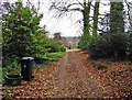 Driveway, Coaxdon Hall