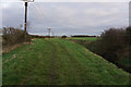 Path leading towards Europarc