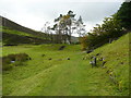 Path from the Visitor Centre to the Beam Engine, Wanlockhead