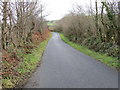SH4587 : Lane near to Tyn-y-Buarth by Peter Wood