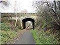 Bridge at Shotley Station