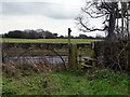 Unused gate and stile on Burleyhurst Lane