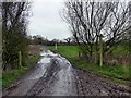 Muddy footpath junction