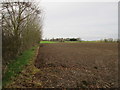 Field edge near the Manor House, Brandesburton