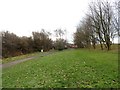 Looking south to Shotley Station