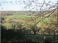 Latimer village view from Walk Wood