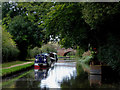 Canal south of Baswich, Stafford