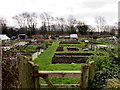 Brynmenyn allotments