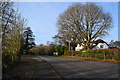 Romsey Road opposite Wellow School