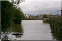 TQ2575 : Confluence of River Wandle with the Thames by David Kemp