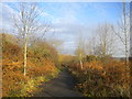 Lane to Oxton Road, Calverton