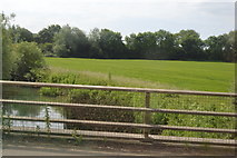 SP4410 : Field by the River Evenlode by N Chadwick