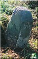 Old Milestone north of Buckland