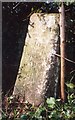 Old Milestone by the B4507, south of Uffington