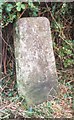 Old Milestone near Home Farm, Shrivenham