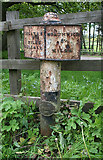 SJ5468 : Old Milepost by the A54 on Kelsall Hill by A Rosevear