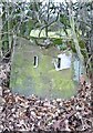 Old Milestone by Chester Road, Daresbury