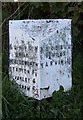 Old Milepost by the B5393, south of Ashton Hayes