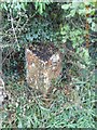 Old Milepost by the A534, Wrexham Road, Ridley