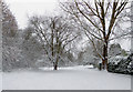 A snowy Woodland Walk in Penn, Wolverhampton