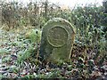 Old Milestone by the A7, near Watch Hill Wood