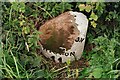 Old Milestone by the unclassified road, east of Bowscale