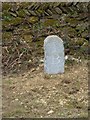 New Milestone by the A389, Cooksland