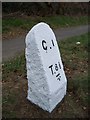 Old Milestone by the A390 in Callington