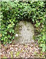 Old Milestone by the A390 in Gunnislake