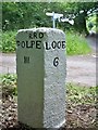 Old Milestone near Treneddan