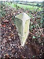 SW6334 : Old Milestone by the B3303, Clowance Estate by Ian Thompson