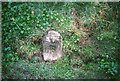 Old Milestone by the A395, Pipers Pool