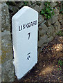 Old Milestone by the B3254 at North Darley