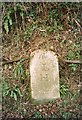 Old Milestone by the B3254, south of Trussel Bridge