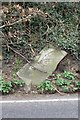 Old Milestone by the A393 in Comford