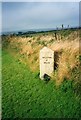 SW6836 : Old Milestone by the B3297, Carthew Farm by Ian Thompson
