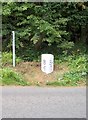 Old Milestone north east of the A391