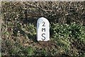 Old Milestone by the A38, north west of Whity Cross