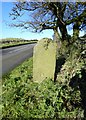 SK1873 : Old Milestone by the B6465, South of Rolley Low by Alan Rosevear