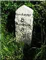 SY7997 : Old Milestone by the A354, west of Milborne St Andrew by Alan Rosevear