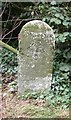 Old Milestone by the A35, east of Bere Regis